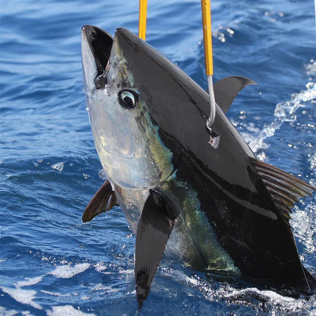 Aluminum Fishing Gaff - Image 6