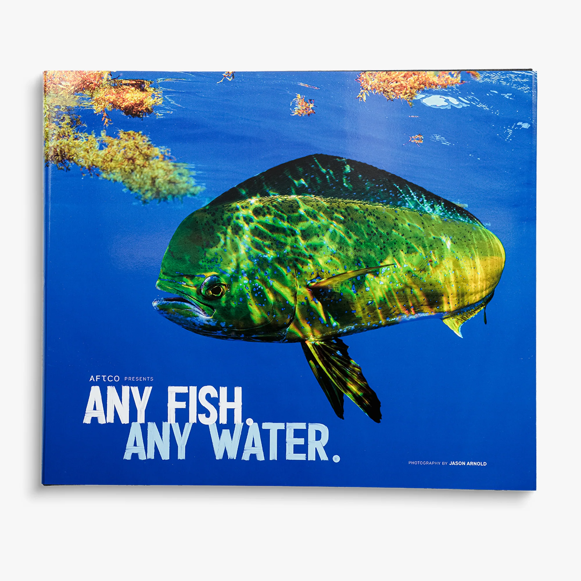 Any Fish, Any Water: Photography by Jason Arnold - Image 13