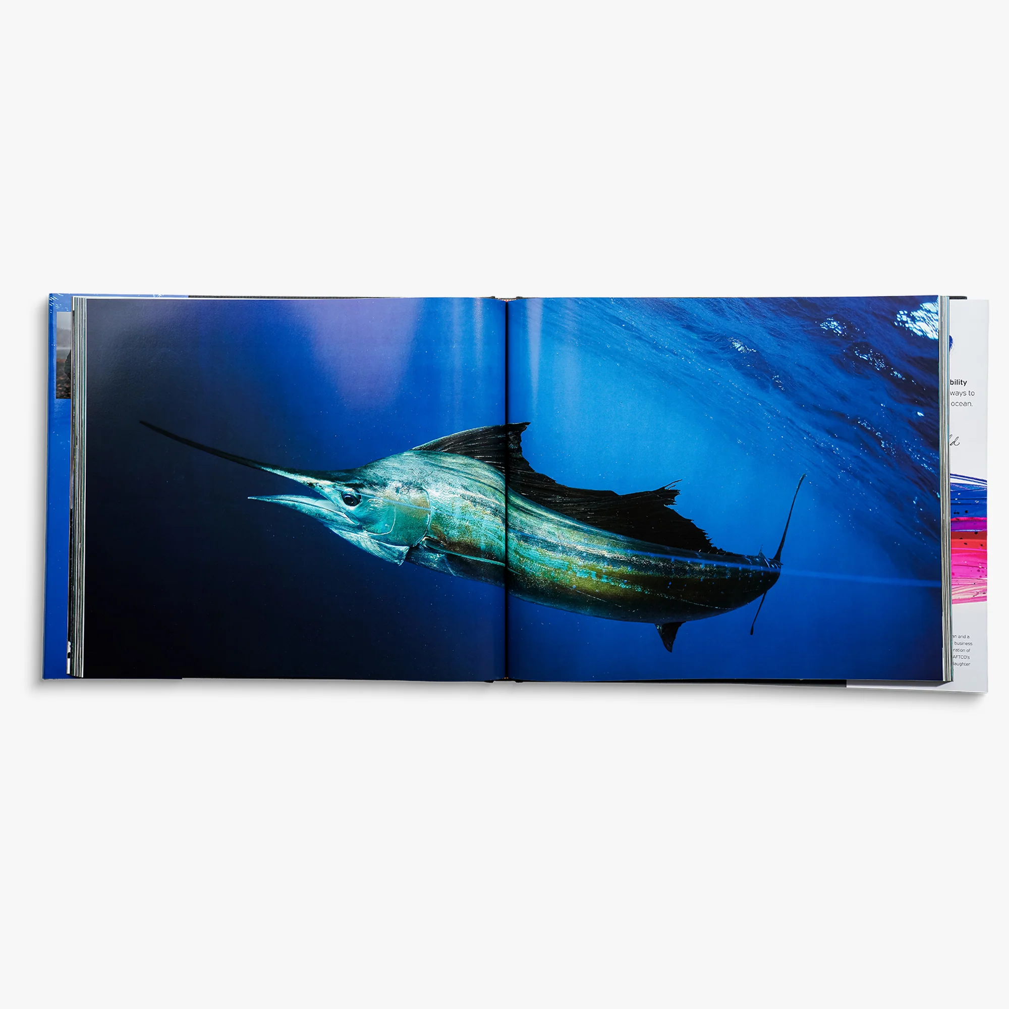 Any Fish, Any Water: Photography by Jason Arnold - Image 16