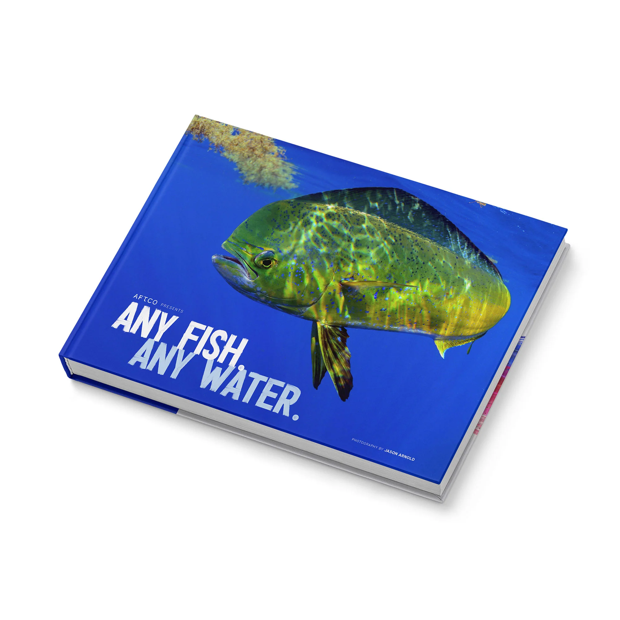 Any Fish, Any Water: Photography by Jason Arnold - Image 3