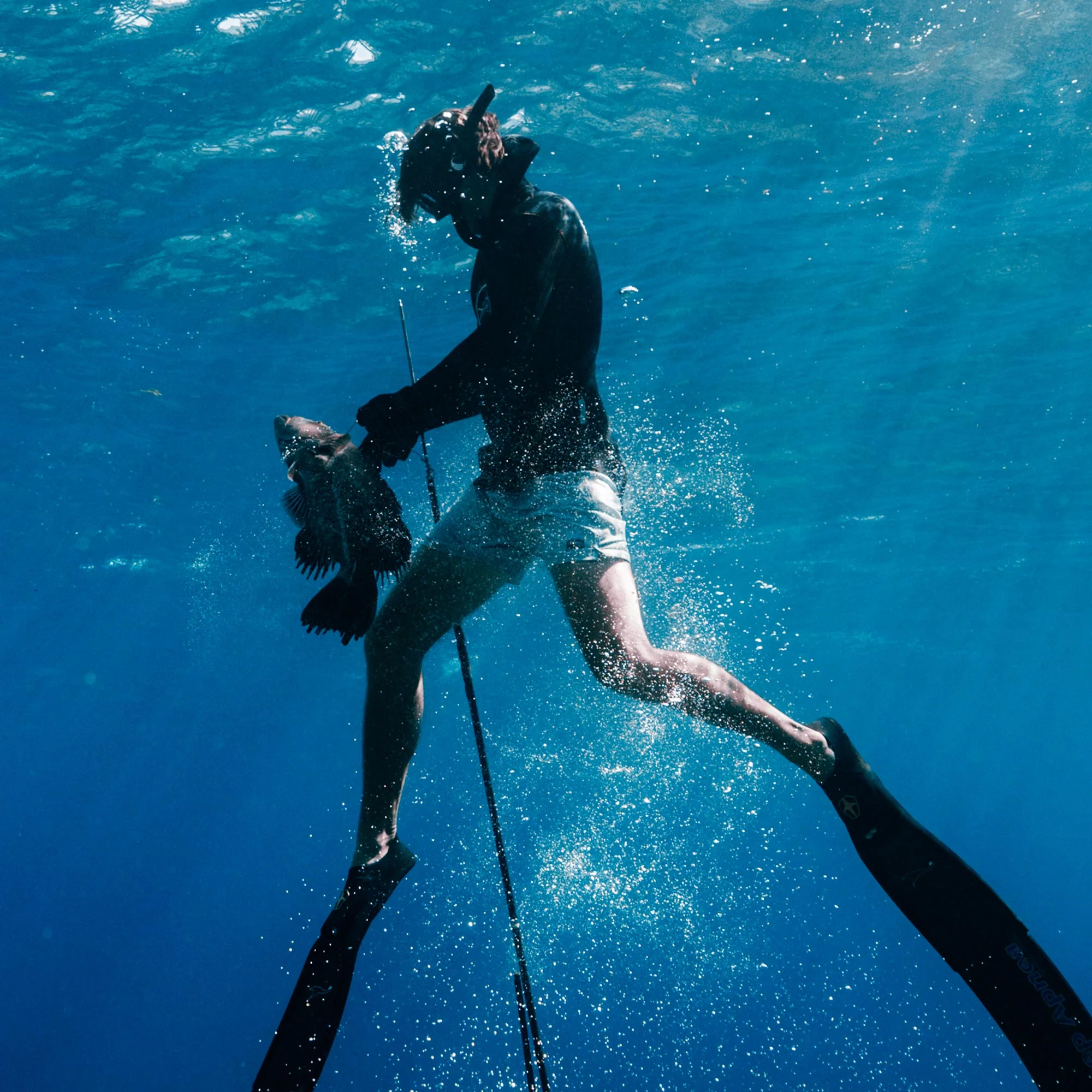 Strike Swim Shorts - Image 45